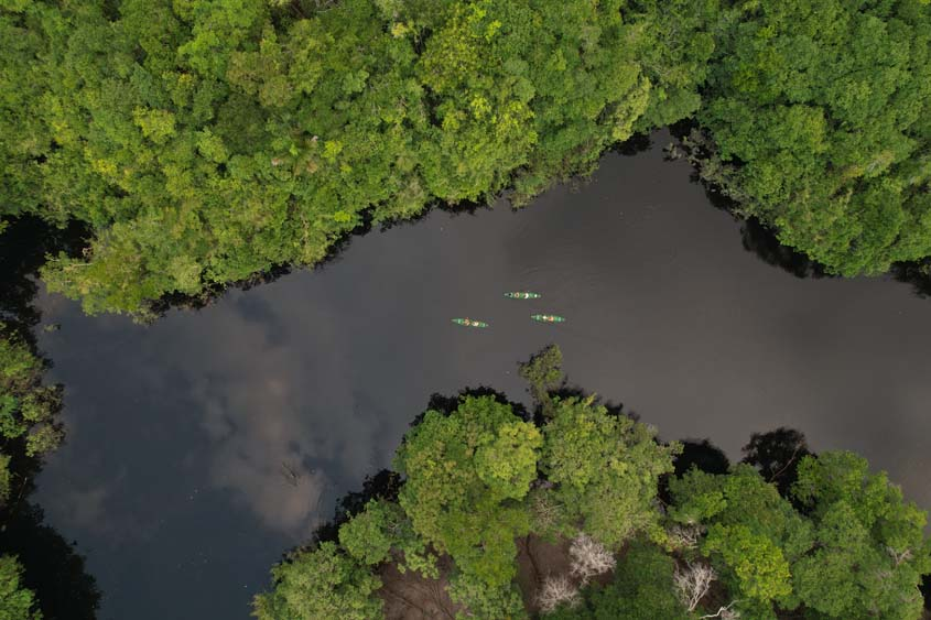 Canoes traveling through a forest-lined Amazon waterway