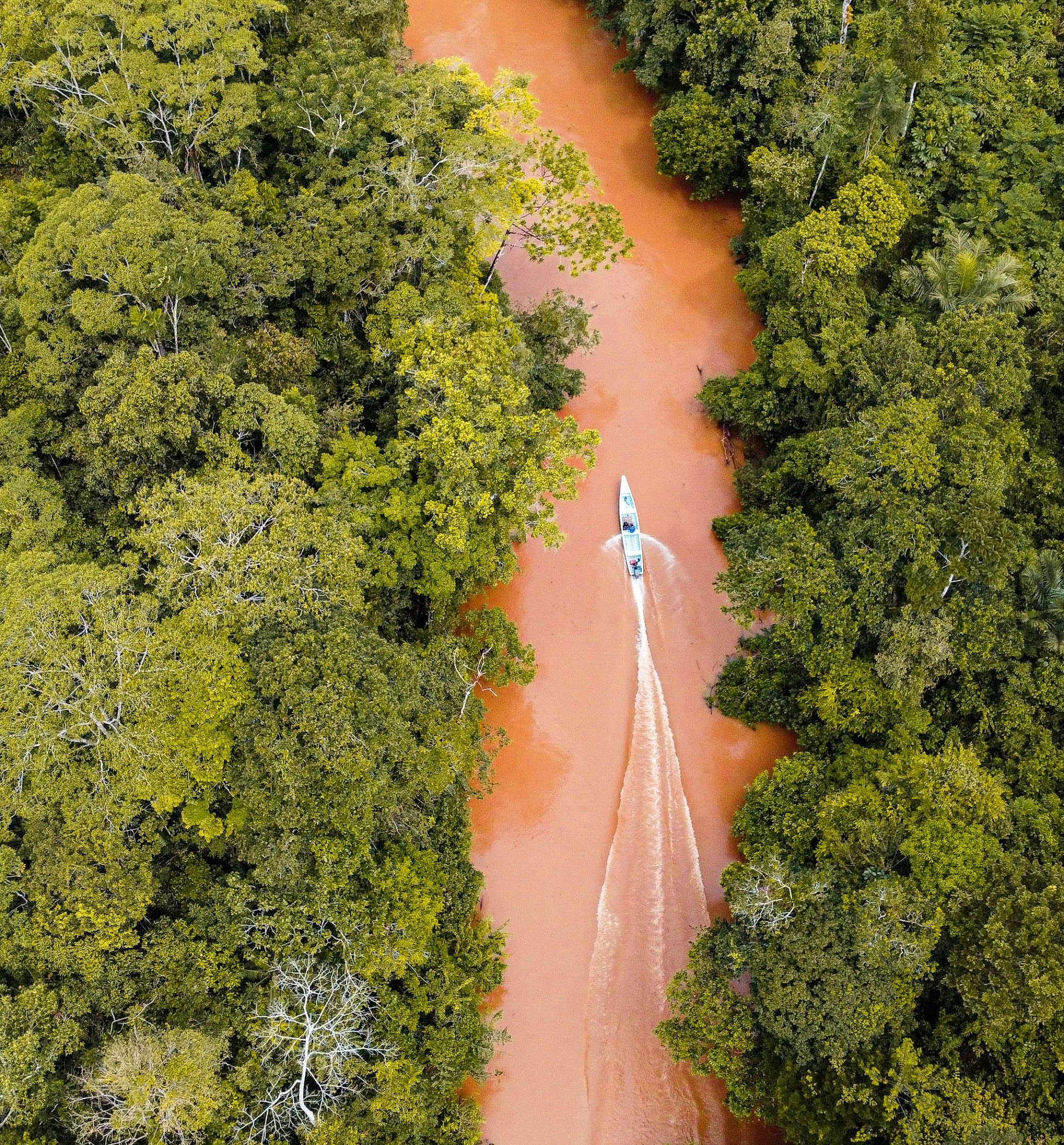A boat travelling along an Amazon river bordered by forest