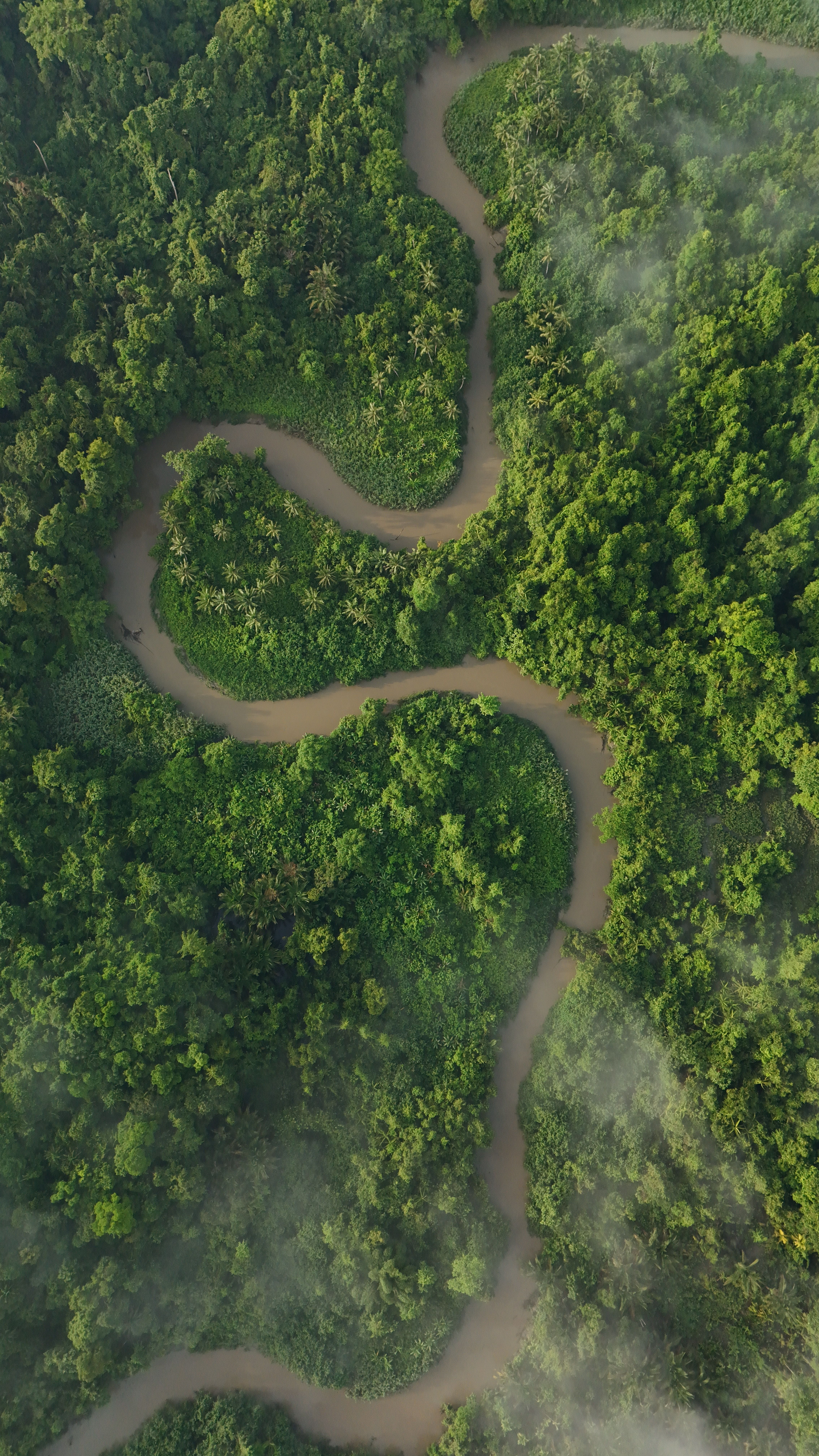 Aerial view of a winding river through the Amazon rainforest