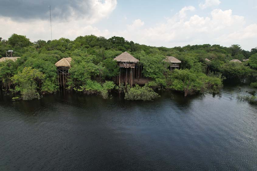Juma Amazon Lodge bungalows on stilts within the Amazon forest